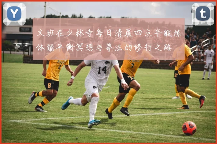 文班在少林寺每日清晨四点半锻炼体能平衡冥想与拳法的修行之路