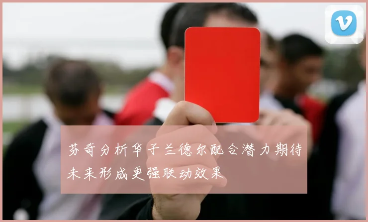 芬奇分析华子兰德尔配合潜力期待未来形成更强联动效果